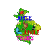 logosinfondo